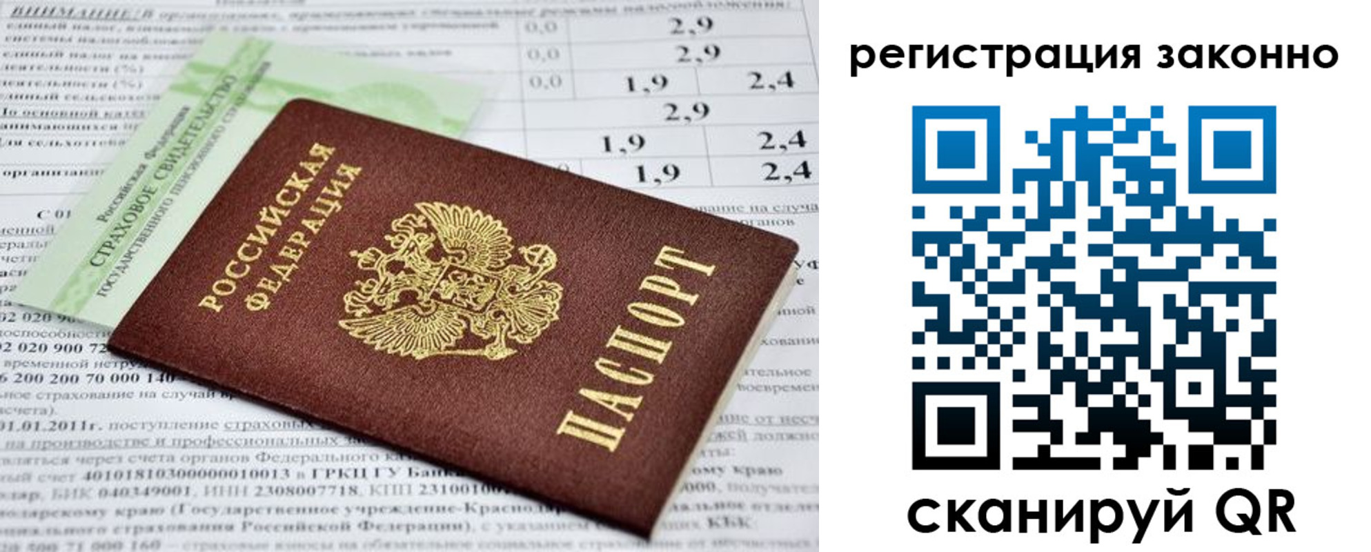 прописка поиск в Саранске